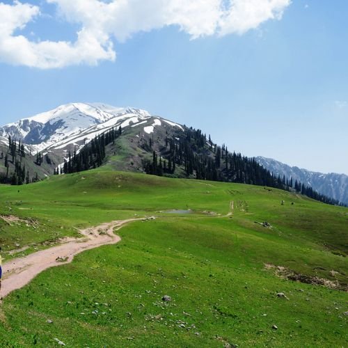 listing-details-carousel